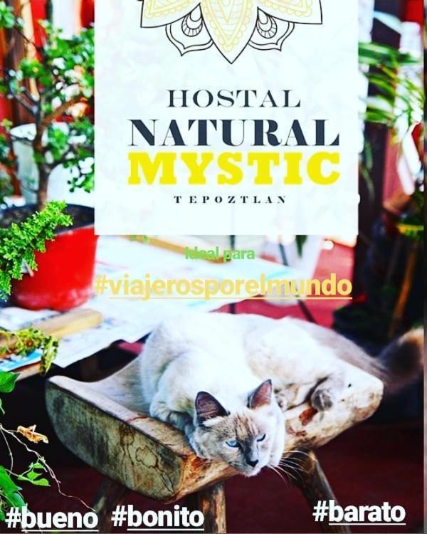 Natural Mystic Hostal Тепоцтлан Екстериор снимка